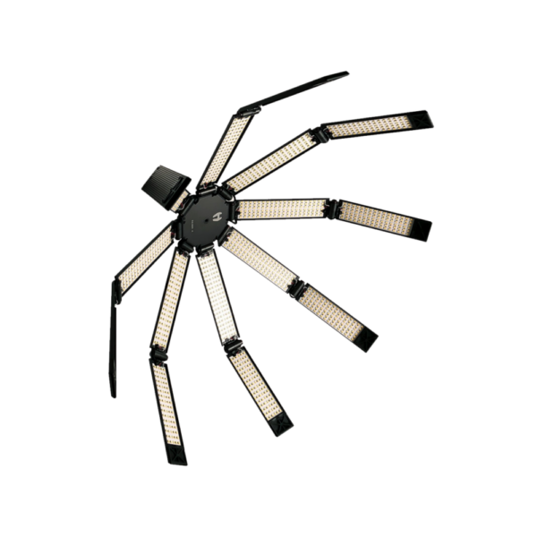 Hudson Spider Redback LED